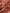 Saiyaraa Women's Red Floral Printed Cotton Kurta Set with Palazzo & Dupatta | Casual Ethnic Suit Set