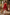 Women's Red Printed Asymmetrical Kurti Palazzo Set | Sleeveless Ethnic Co-Ord Set for Women | Casual Festive Wear | Saiyaraa